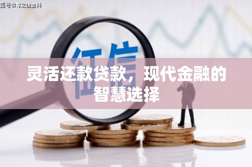 龙游灵活还款贷款，现代金融的智慧选择