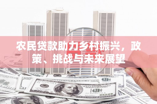 龙游农民贷款助力乡村振兴，政策、挑战与未来展望