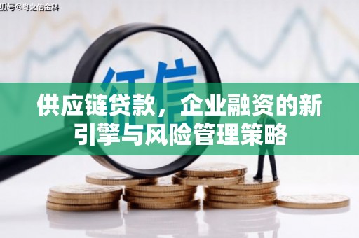龙游供应链贷款，企业融资的新引擎与风险管理策略