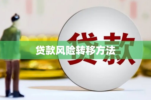龙游贷款风险转移方法