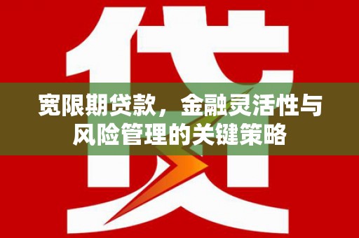 龙游宽限期贷款，金融灵活性与风险管理的关键策略