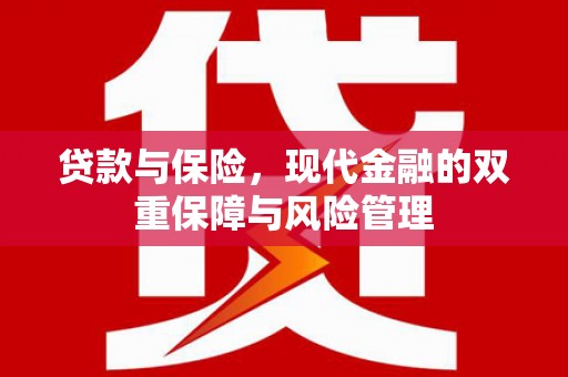 龙游贷款与保险，现代金融的双重保障与风险管理