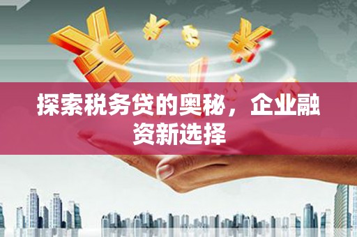龙游探索税务贷的奥秘，企业融资新选择