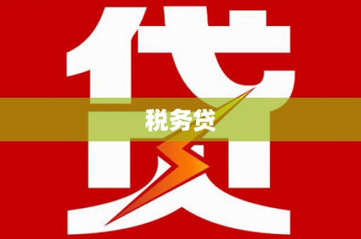 龙游税务贷