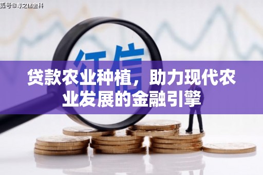 龙游贷款农业种植，助力现代农业发展的金融引擎