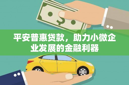 龙游平安普惠贷款，助力小微企业发展的金融利器