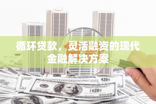 龙游循环贷款，灵活融资的现代金融解决方案