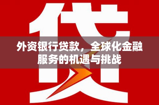 龙游外资银行贷款，全球化金融服务的机遇与挑战