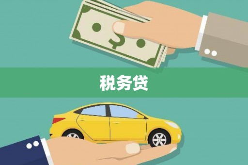 龙游税务贷