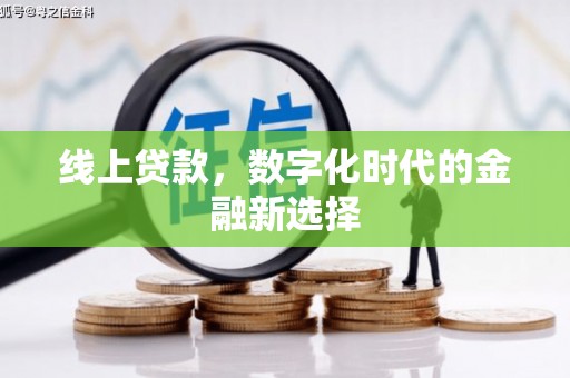 龙游线上贷款，数字化时代的金融新选择