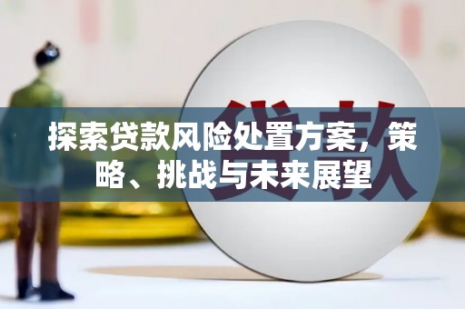 龙游探索贷款风险处置方案，策略、挑战与未来展望