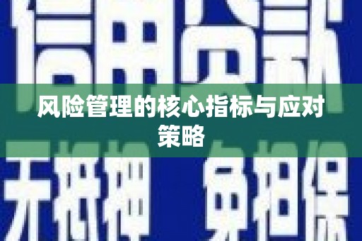 龙游风险管理的核心指标与应对策略