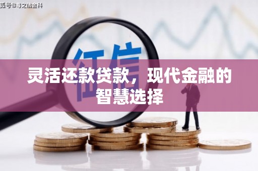 龙游灵活还款贷款，现代金融的智慧选择