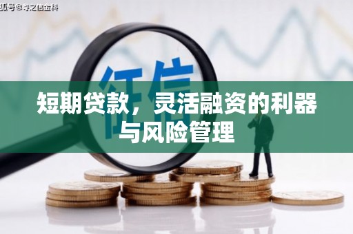 龙游短期贷款，灵活融资的利器与风险管理