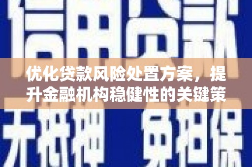 龙游优化贷款风险处置方案，提升金融机构稳健性的关键策略