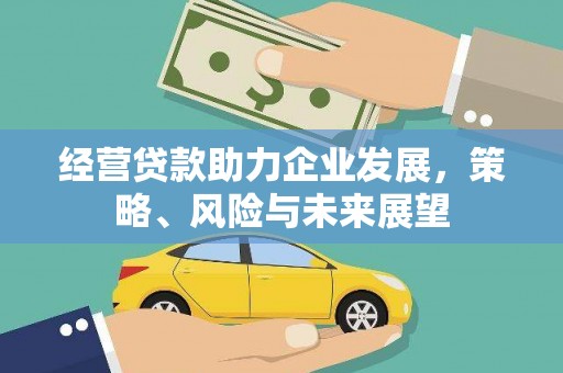龙游经营贷款助力企业发展，策略、风险与未来展望
