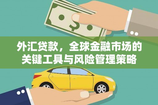 龙游外汇贷款，全球金融市场的关键工具与风险管理策略