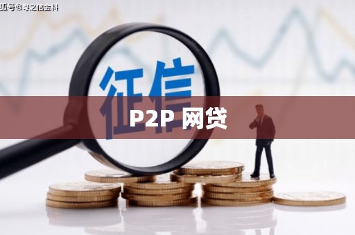 龙游P2P 网贷