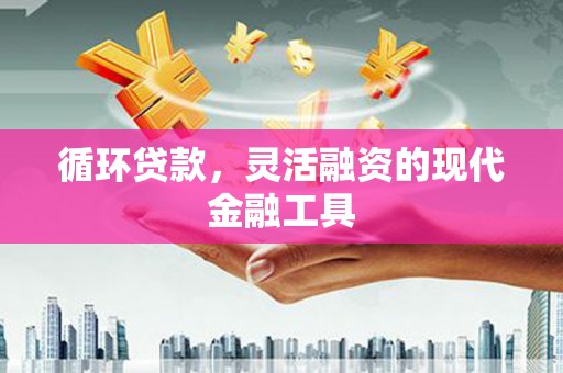 龙游循环贷款，灵活融资的现代金融工具