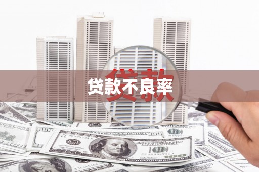 龙游贷款不良率