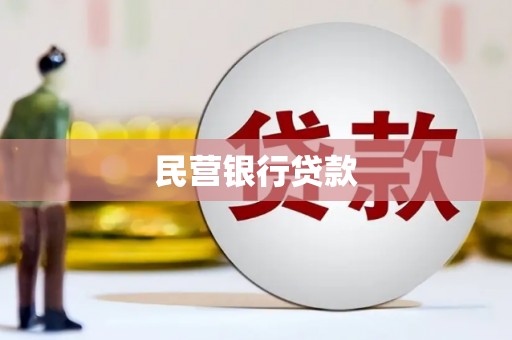 龙游民营银行贷款