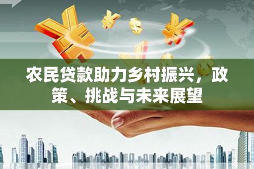 龙游农民贷款助力乡村振兴，政策、挑战与未来展望