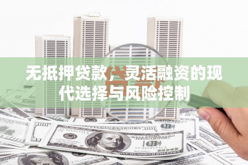 龙游无抵押贷款，灵活融资的现代选择与风险控制