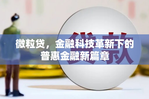 龙游微粒贷，金融科技革新下的普惠金融新篇章