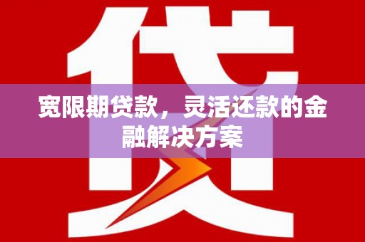 龙游宽限期贷款，灵活还款的金融解决方案