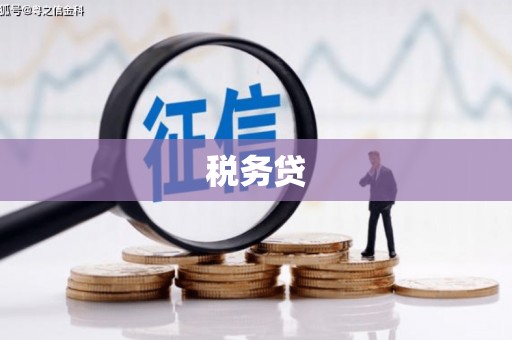 龙游税务贷