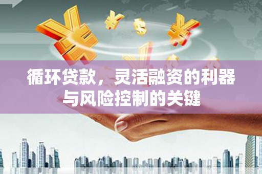 龙游循环贷款，灵活融资的利器与风险控制的关键