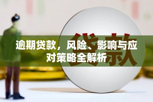 龙游逾期贷款，风险、影响与应对策略全解析