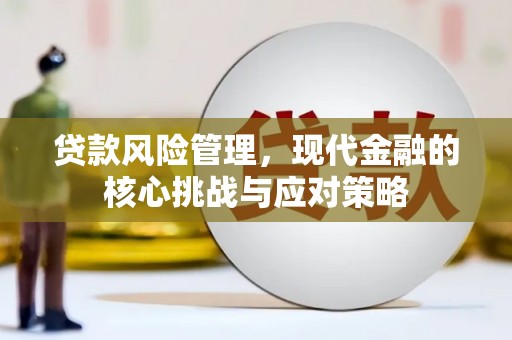 龙游贷款风险管理，现代金融的核心挑战与应对策略