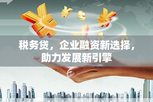 龙游税务贷，企业融资新选择，助力发展新引擎