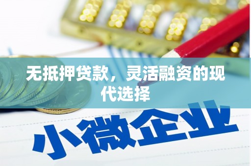 龙游无抵押贷款，灵活融资的现代选择
