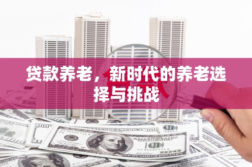 龙游贷款养老，新时代的养老选择与挑战