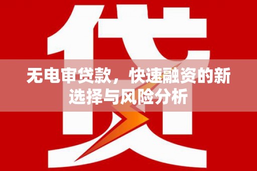 龙游无电审贷款，快速融资的新选择与风险分析