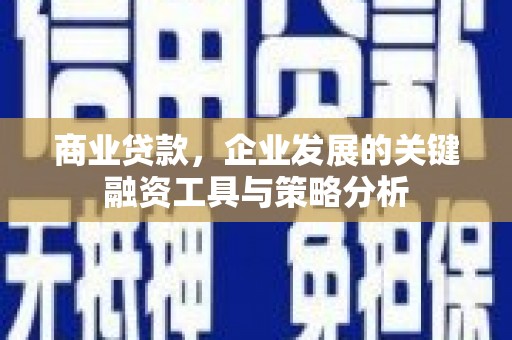 龙游商业贷款，企业发展的关键融资工具与策略分析