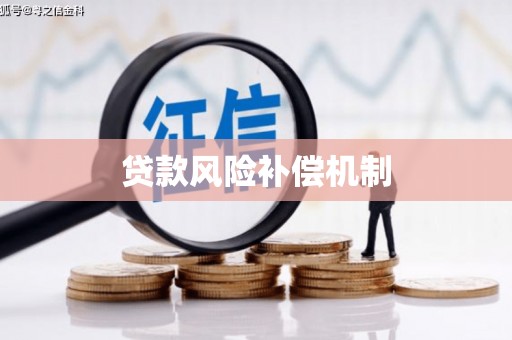 龙游贷款风险补偿机制