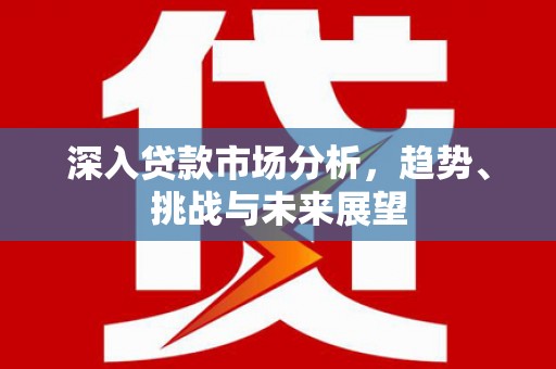 龙游深入贷款市场分析，趋势、挑战与未来展望