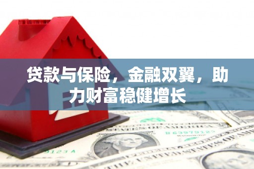 龙游贷款与保险，金融双翼，助力财富稳健增长