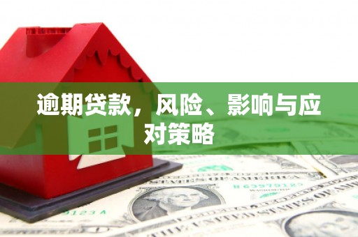 龙游逾期贷款，风险、影响与应对策略
