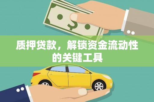 龙游质押贷款，解锁资金流动性的关键工具