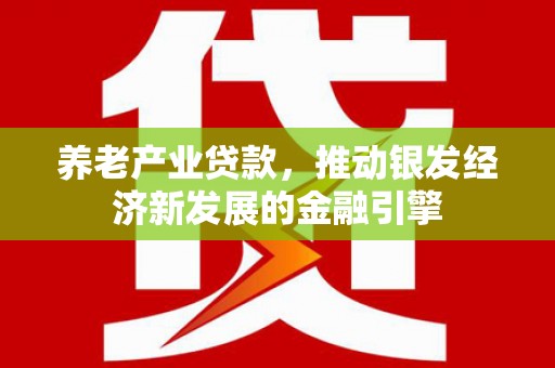 龙游养老产业贷款，推动银发经济新发展的金融引擎