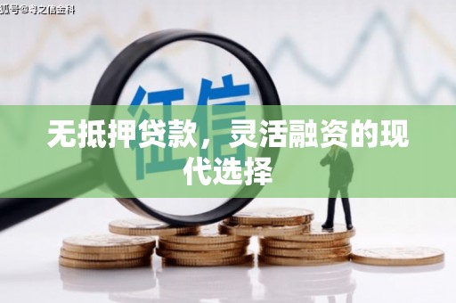 龙游无抵押贷款，灵活融资的现代选择