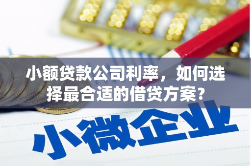 龙游小额贷款公司利率，如何选择最合适的借贷方案？
