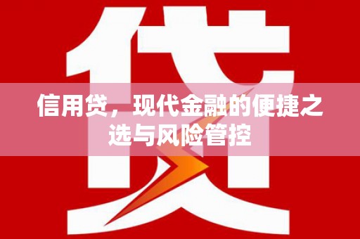 龙游信用贷，现代金融的便捷之选与风险管控