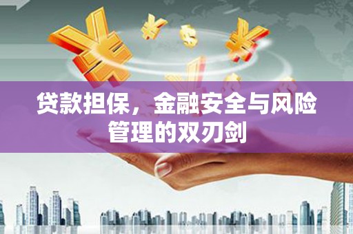 龙游贷款担保，金融安全与风险管理的双刃剑