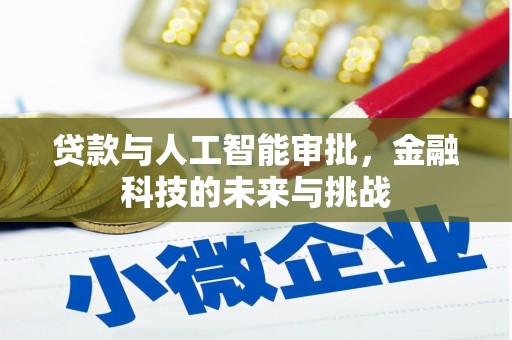 龙游贷款与人工智能审批，金融科技的未来与挑战