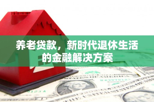 龙游养老贷款，新时代退休生活的金融解决方案